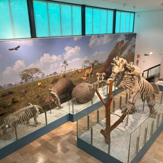 Museo El Panteologic